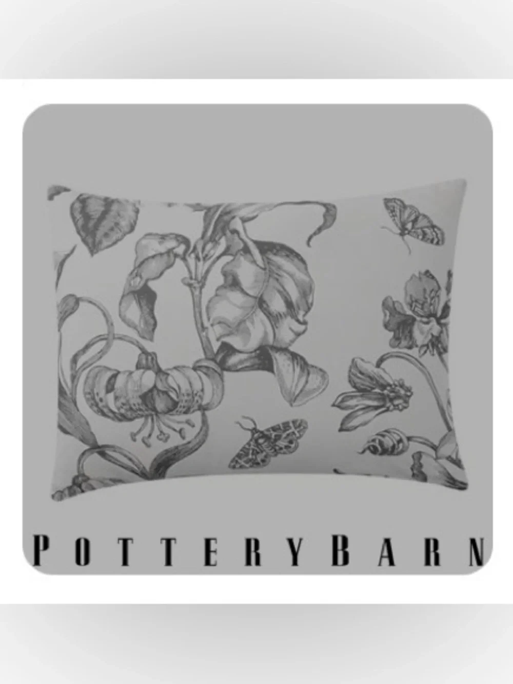 Pottery Barn Pippa Floral Print Organic Sham, Standard, Charcoal Eco-Friendly